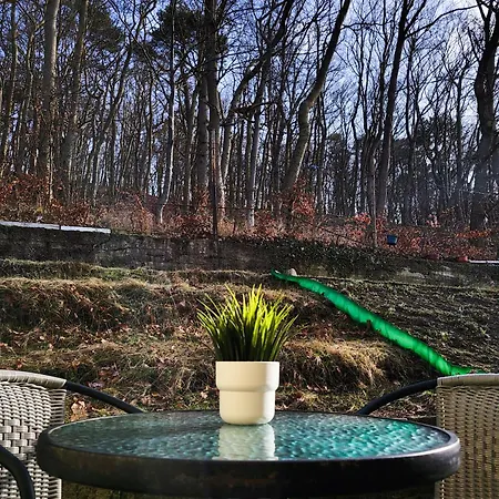 Sea&forest Apartment