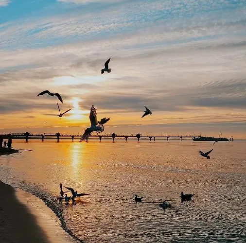 Daire Sea&forest Miedzyzdroje